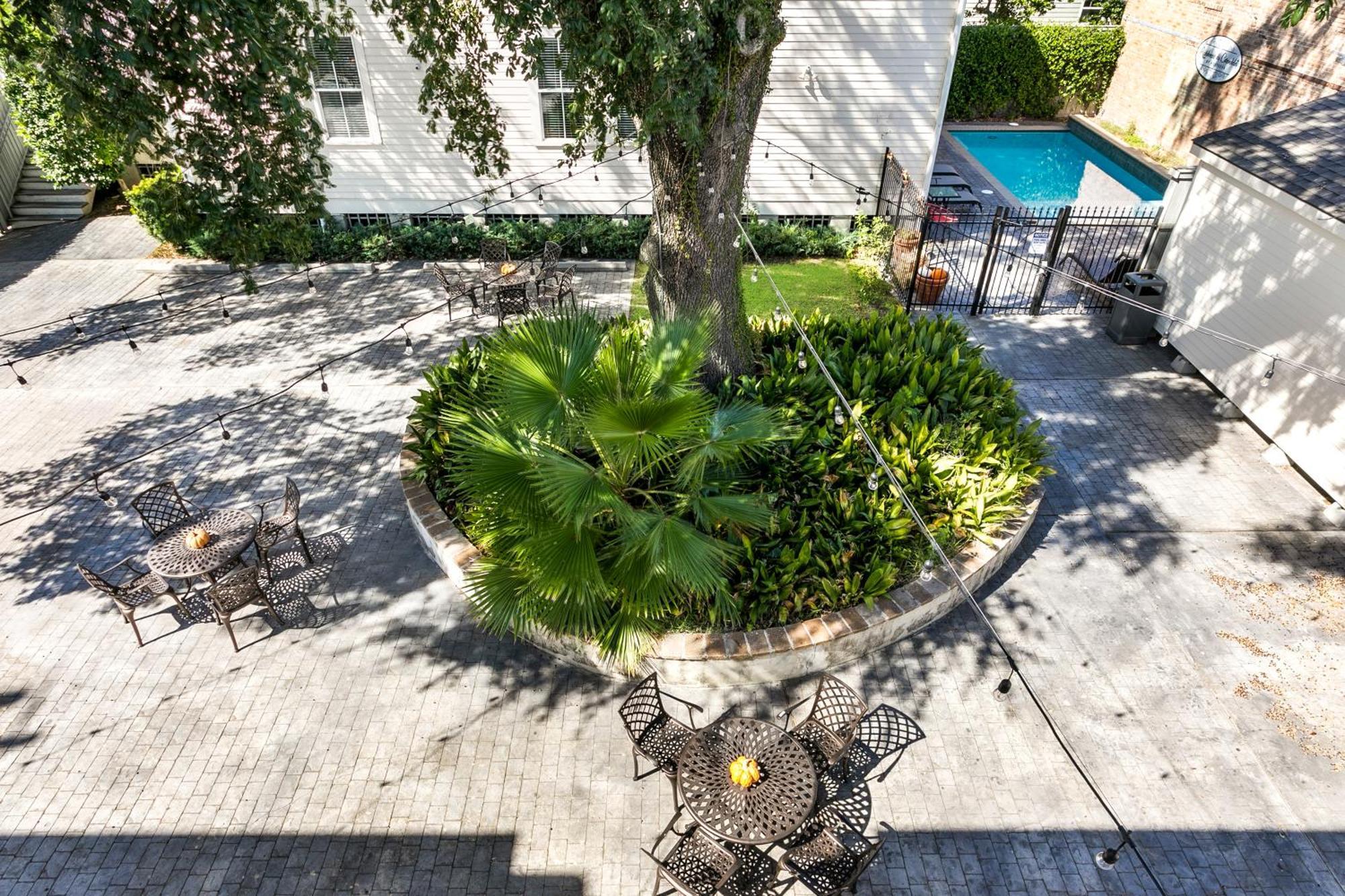Amazing 3Br Cottage Off St Charles With Pool 新奥尔良 外观 照片
